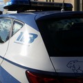 Poliziotto fuori servizio mette in fuga due ladri d'auto