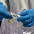 348mila contagi da Covid-19 nel Barese da inizio pandemia