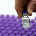 In Puglia in arrivo 100mila dosi di vaccino Pfizer-BioNTech