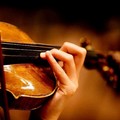 A Giovinazzo una meravigliosa mostra sui violini