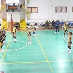 Volley Ball, pesante sconfitta a Cerignola