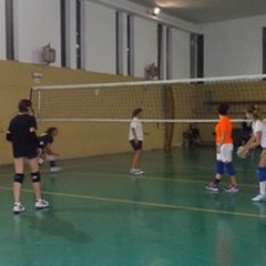 Volley Ball, Nacci: «Squadra giovane, puntiamo ai play-off»