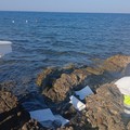 Liquidi oleosi sul litorale di Giovinazzo, rimossa macchia di idrocarburi