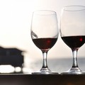 Tutti i segreti del vino in sette incontri