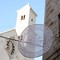 A Giovinazzo via Cattedrale è un omaggio ai rosoni di Puglia