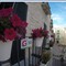"Giovinazzo Borgo in fiore", parte l'edizione 2023 per rendere più bella la città