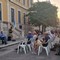 «Giovinazzo, a che punto siamo?»: PrimaVera Alternativa traccia il bilancio di 4 anni di Sollecito