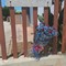 Un mazzo di fiori per Carlo Legrottaglie davanti alla stazione dei Carabinieri di Giovinazzo