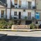 Definitivamente tagliato il carrubo alla rotatoria di via Ten. Devenuto