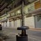 Albero vandalizzato su via Marconi e lasciato in un cestino portarifiuti