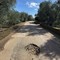 La richiesta d'aiuto degli agricoltori: «Troppe buche sulle strade rurali di Giovinazzo»