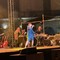 Piazza Vittorio Emanuele II gremita per il concerto di Irene Grandi - FOTO