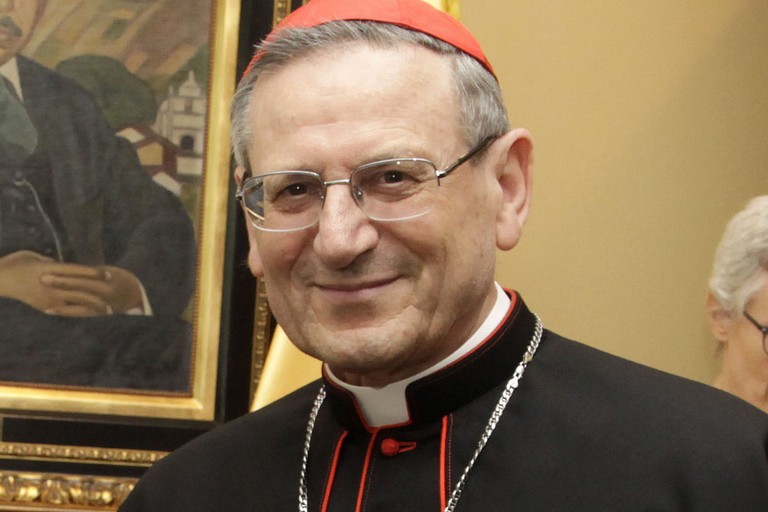 Il Cardinal Amato
