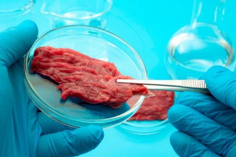 carne prodotta laboratorio giappone x