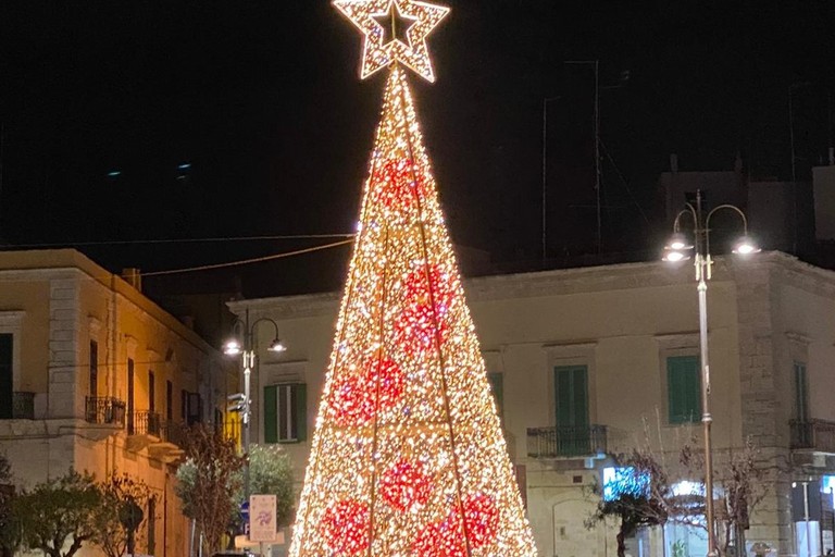 L'albero di Natale in piazza