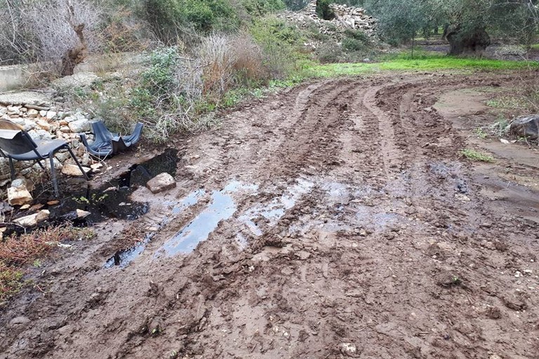 La zona appena fuori dalla discarica. <span>Foto PVA </span>