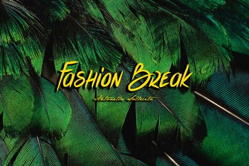 Fashion Break