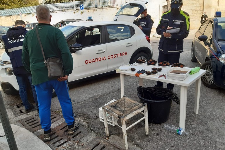 L'operazione interforze di Carabinieri, Capitaneria di Porto e Polizia Locale