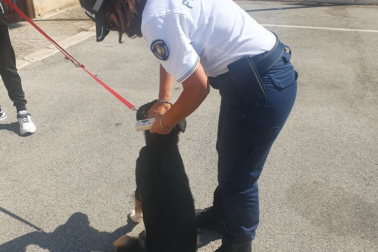 I controlli della Polizia Locale