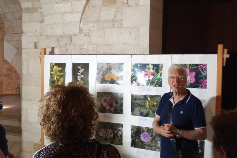 Mostra fiori di Montagna al Bastione