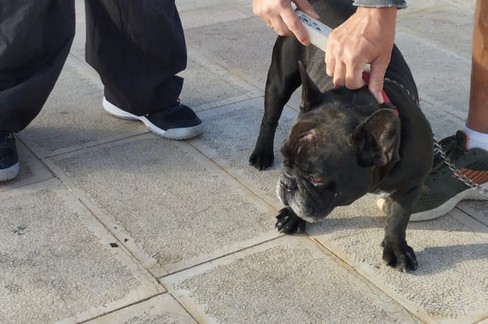 U controlli della Polizia Locale