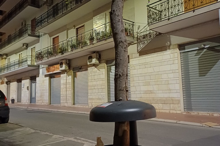 Albero infilato in un cestino portarifiuti