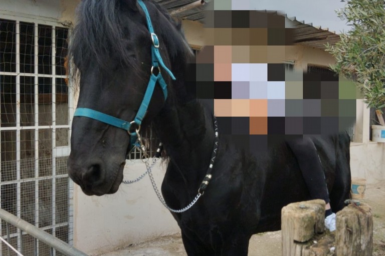 Cavallo rubato