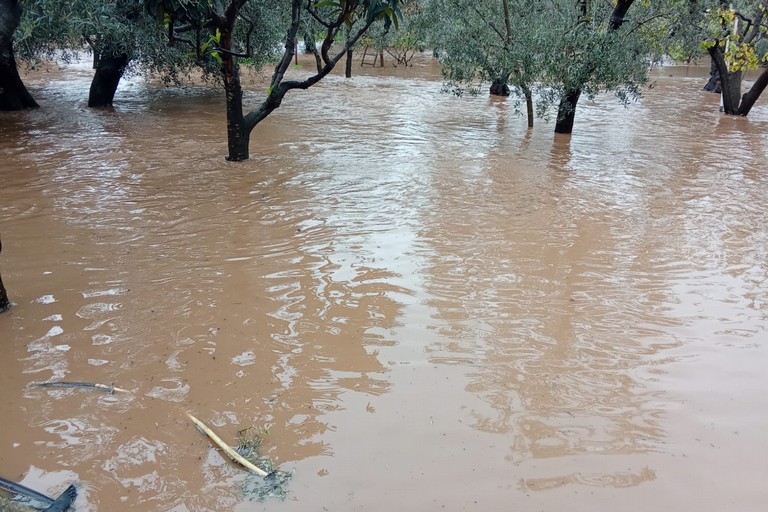 Allagamenti campagne