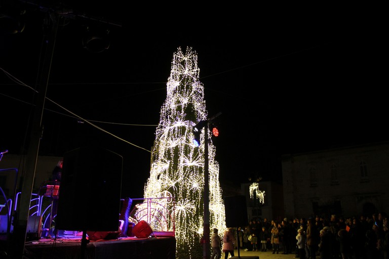 L'albero di Natale in piazza nel 2017. <span>Foto Gianluca Battista</span>