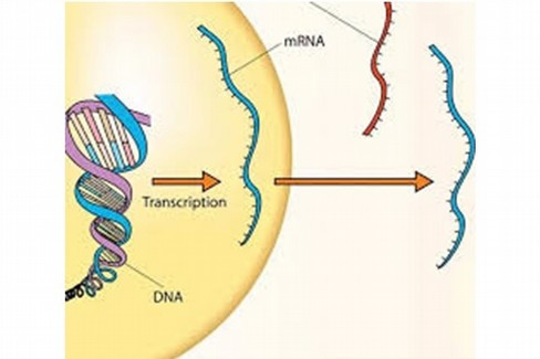 La tecnologia mRNA