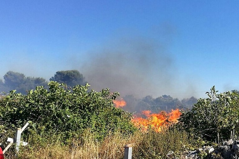 Incendio sulla Molfetta-Giovinazzo