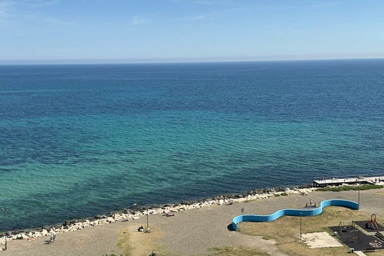 mare