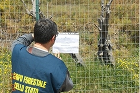 Il sequestro del Corpo Forestale dello Stato