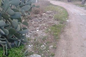 Ripulita la mini-discarica sulla provinciale per Bitonto