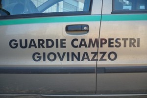 Guardie Campestri