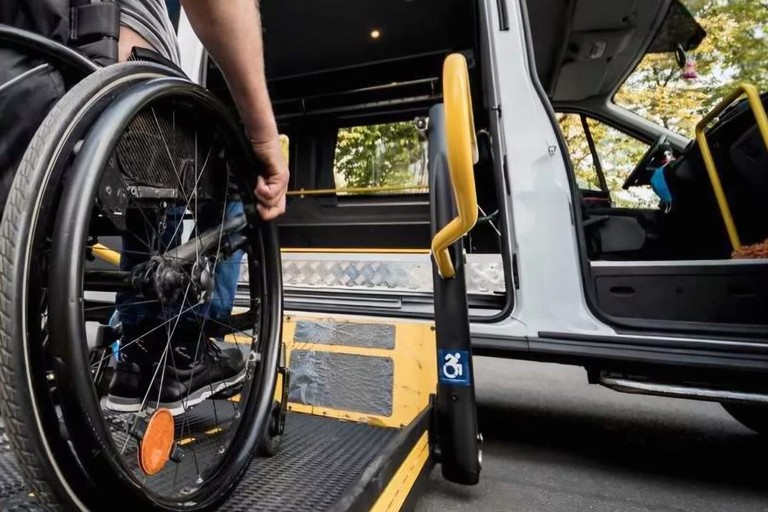 Disabilità