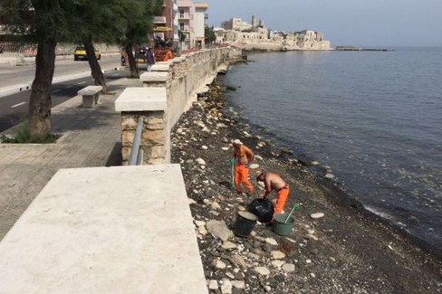 La pulizia del litorale di Giovinazzo